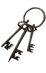 Iron Key Ring