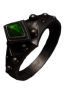 Regenerator's Ring