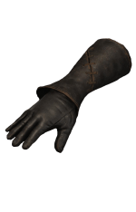 Venerable Sage's Gloves